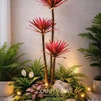 Cây phát tài lá đỏ 3 thân 